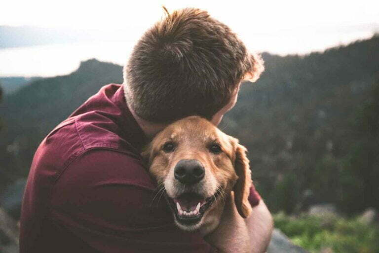 The Best Dog Breeds for a Single Person
