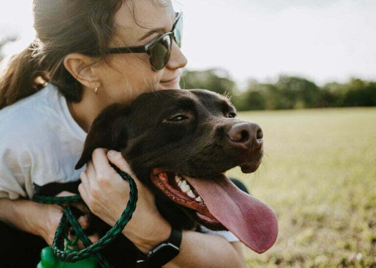 10 Unforgettable Pet Breeds You’ll Fall in Love With