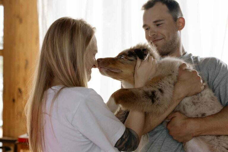 Top 10 Breeds of Dogs that Don’t Cause Allergies