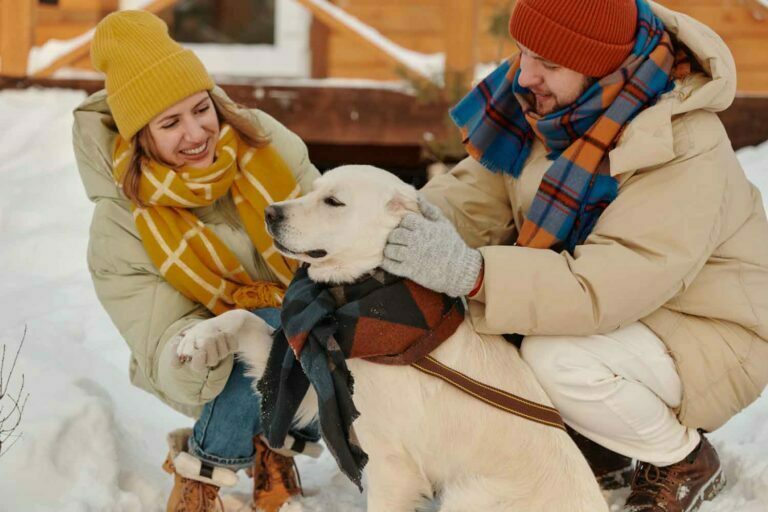 The Best Dog Breeds for an Active Family