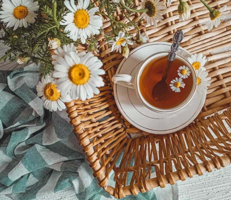 Best Chamomile Tea To Try (2023)