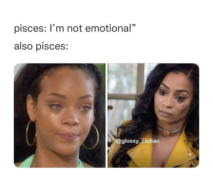Pisces emotional meme