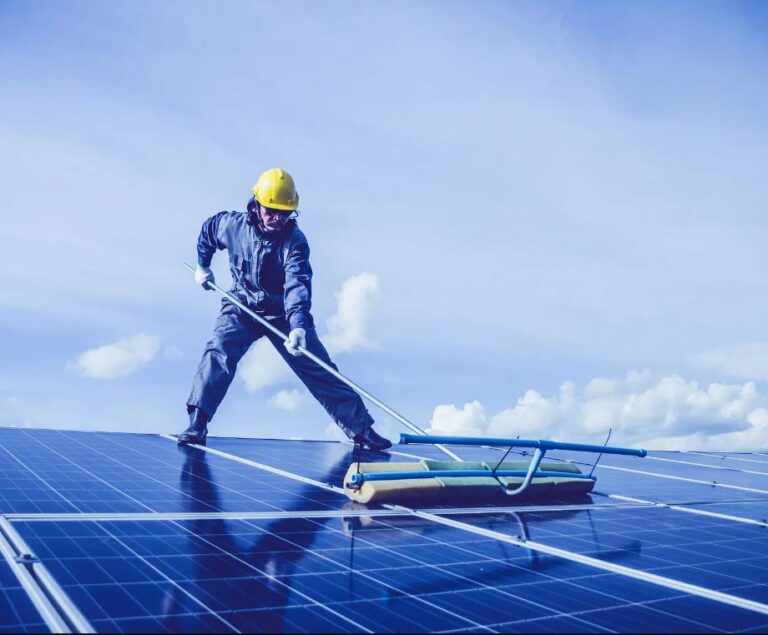 How to Keep Your Solar Panels Safe from Birds: A Complete Guide