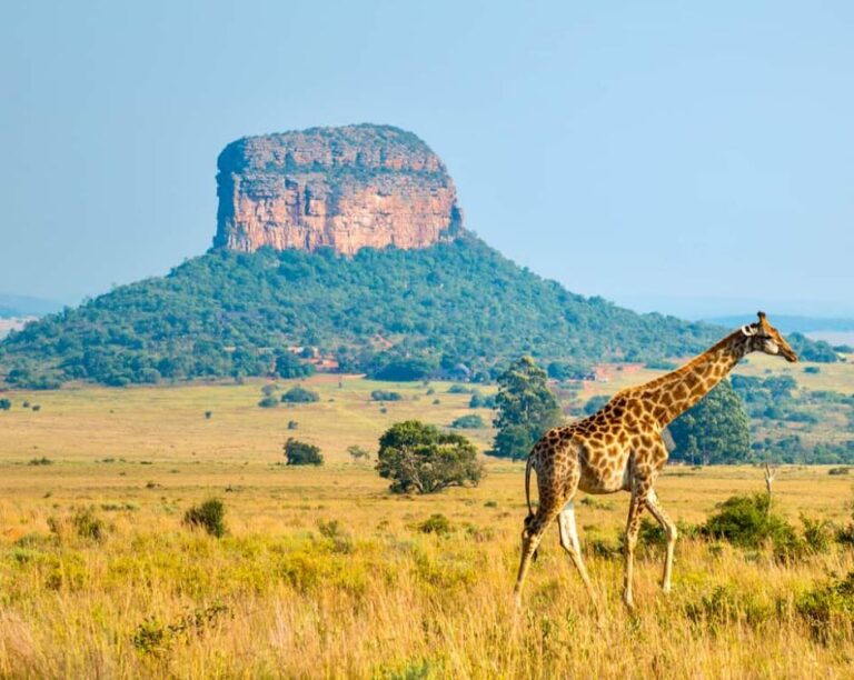 South Africa Through the Seasons – What Time of Year Might You Want to Visit?