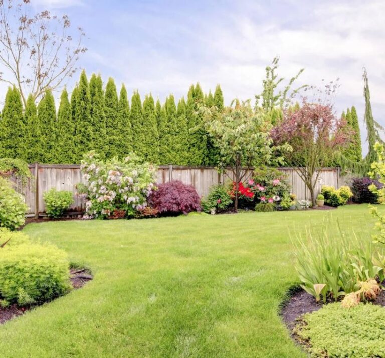 Make Your Landscaping Stand Out by Using Color