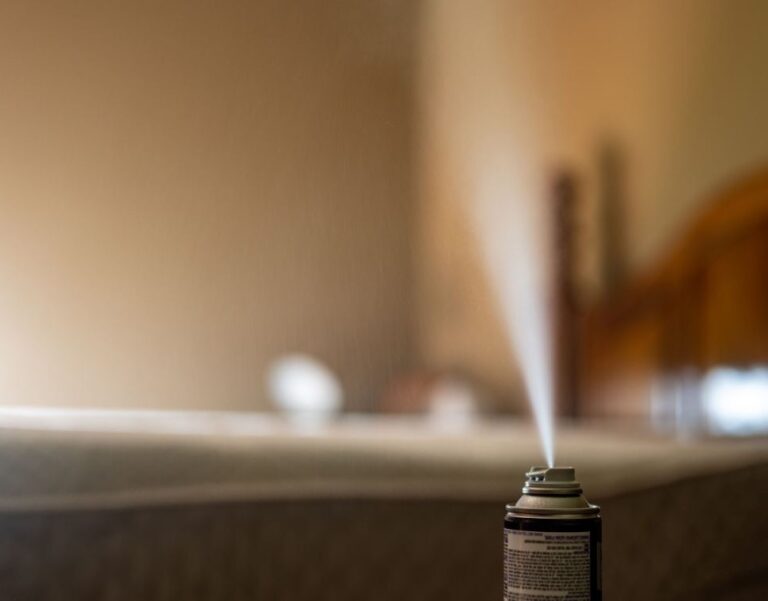 Are Bug Bombs Safe? A Complete Guide to Using Foggers Correctly