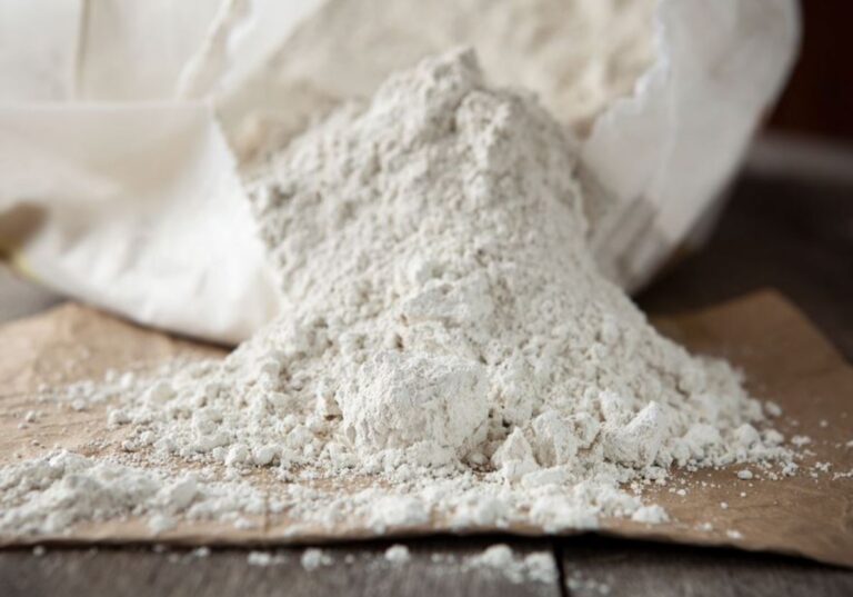 Does Diatomaceous Earth Kill Ants? The Ultimate Guide