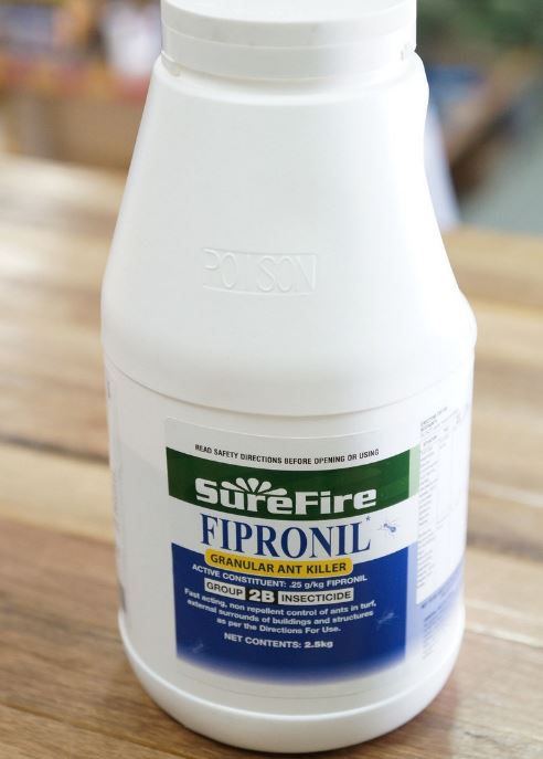 Does Fipronil Kill Ants? The Ultimate Guide to Ant Control with Fipronil