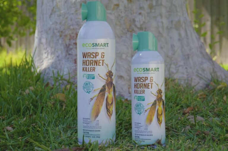 Does Wasp Spray Kill Ants? A Comprehensive Guide